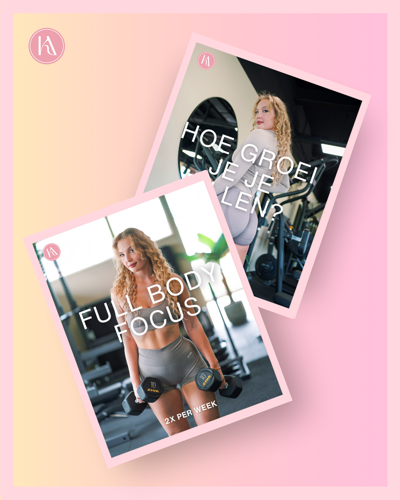 Full body 2x + Mini-cursus