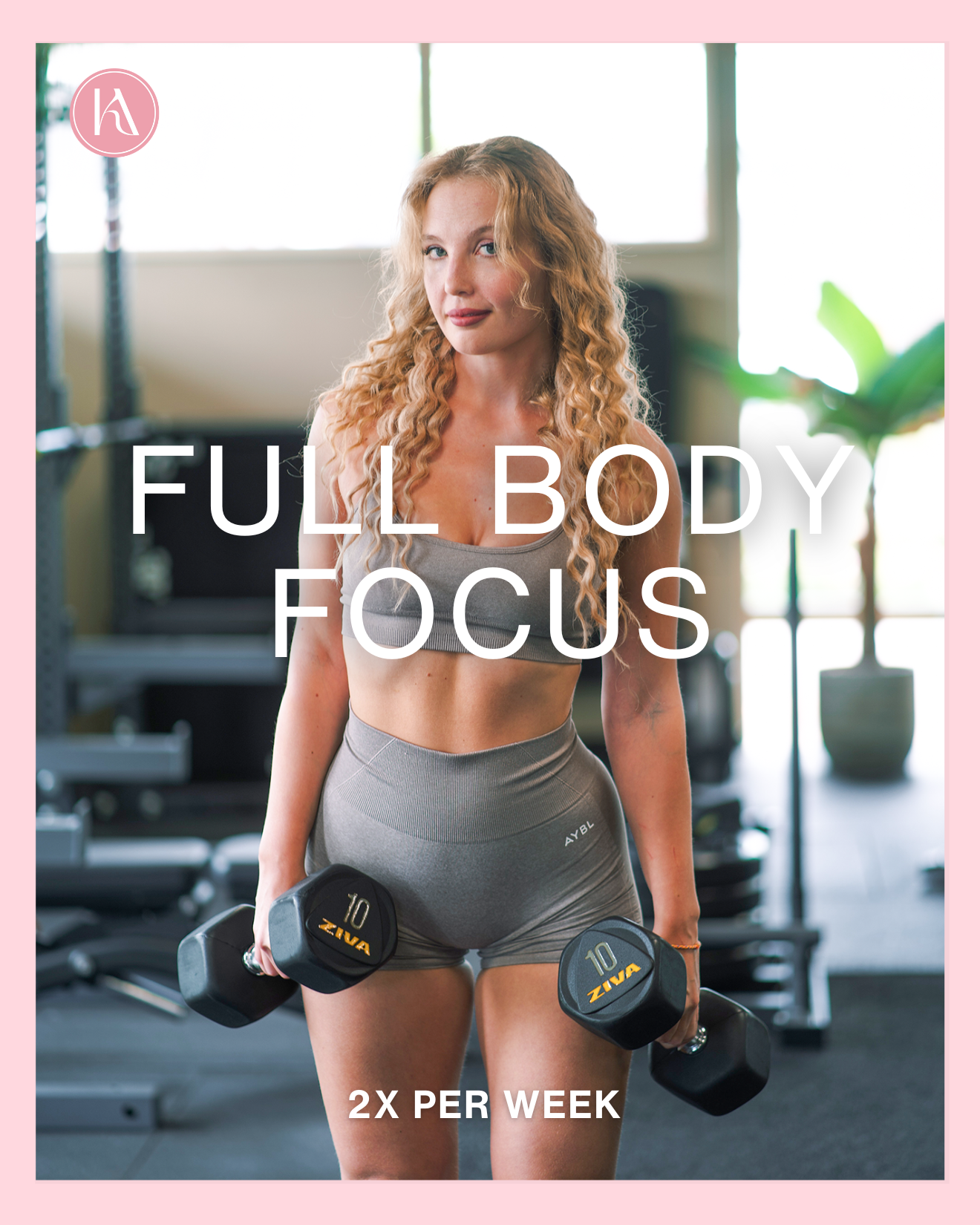 Full Body Focus 2x Per Week